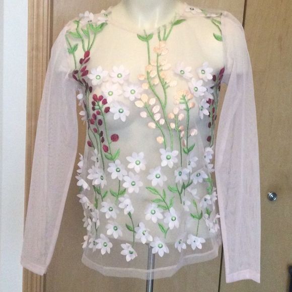 Zara Tops - Zara blush sheer tulle mesh floral embroidered top